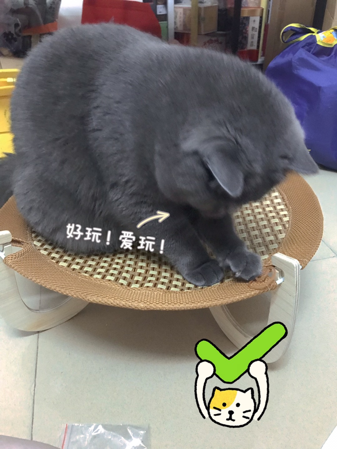 西五街