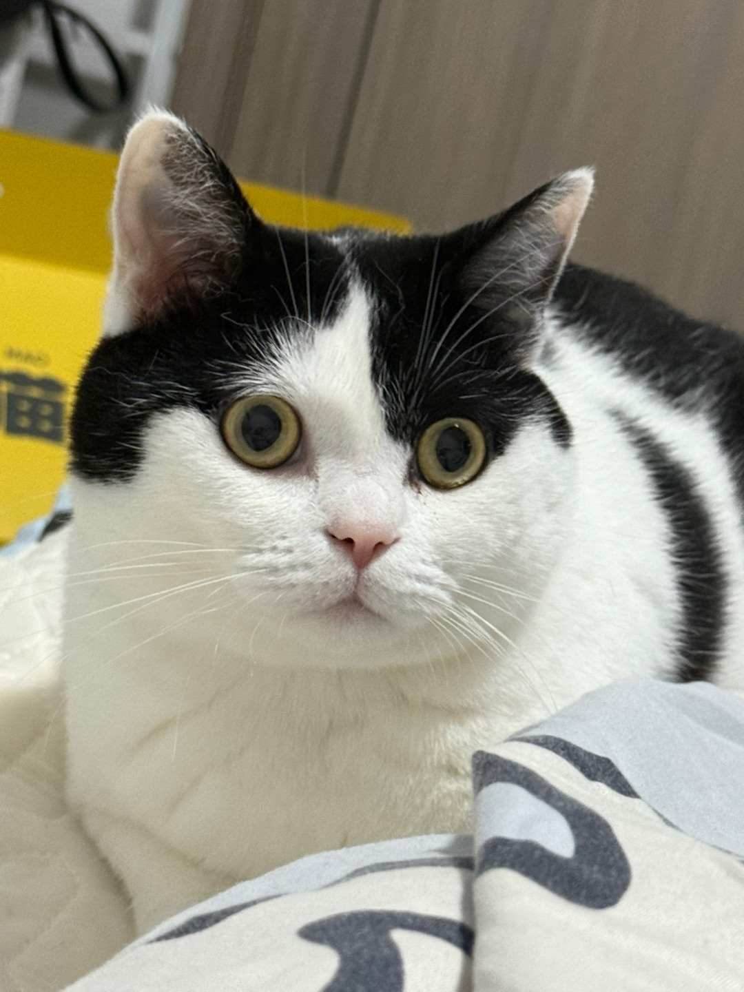 西五街