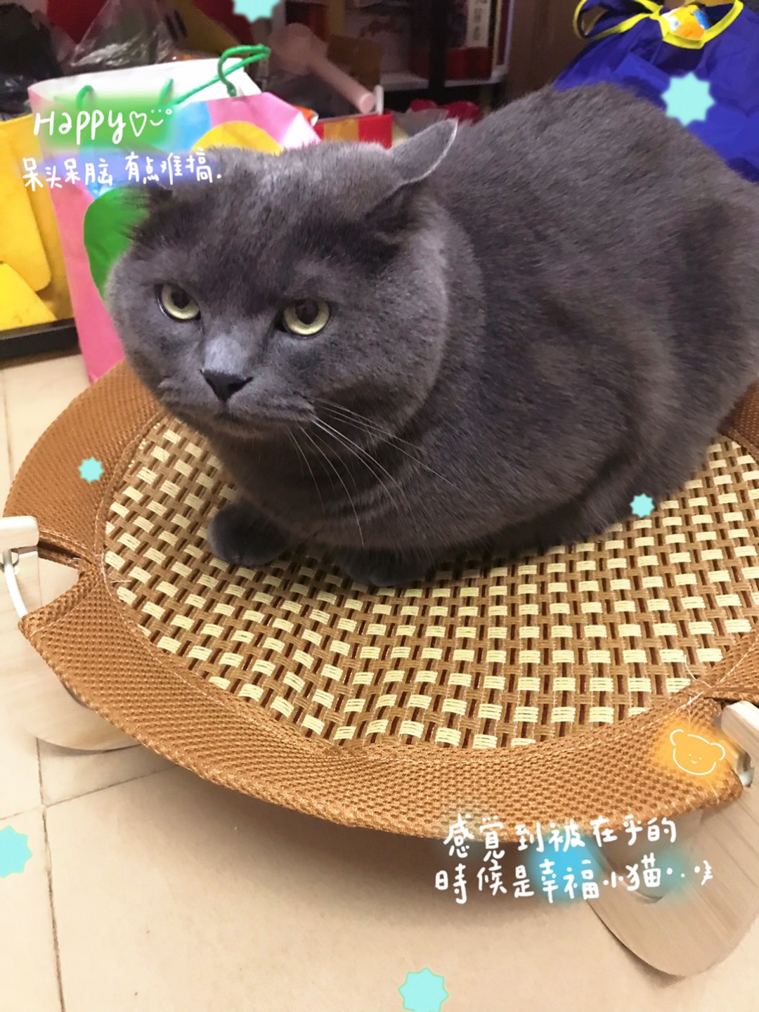 西五街
