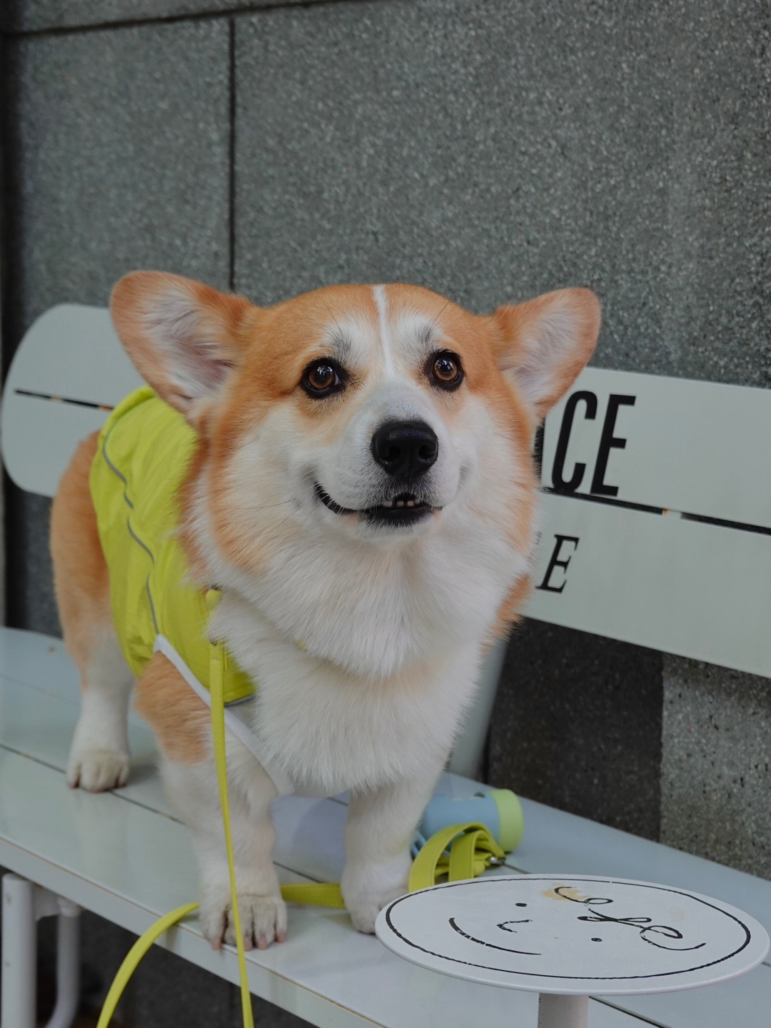 西五街