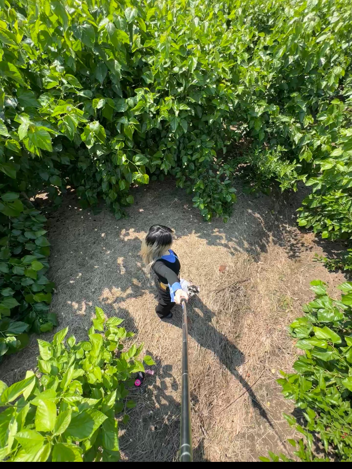 和小狗一起去摆烂