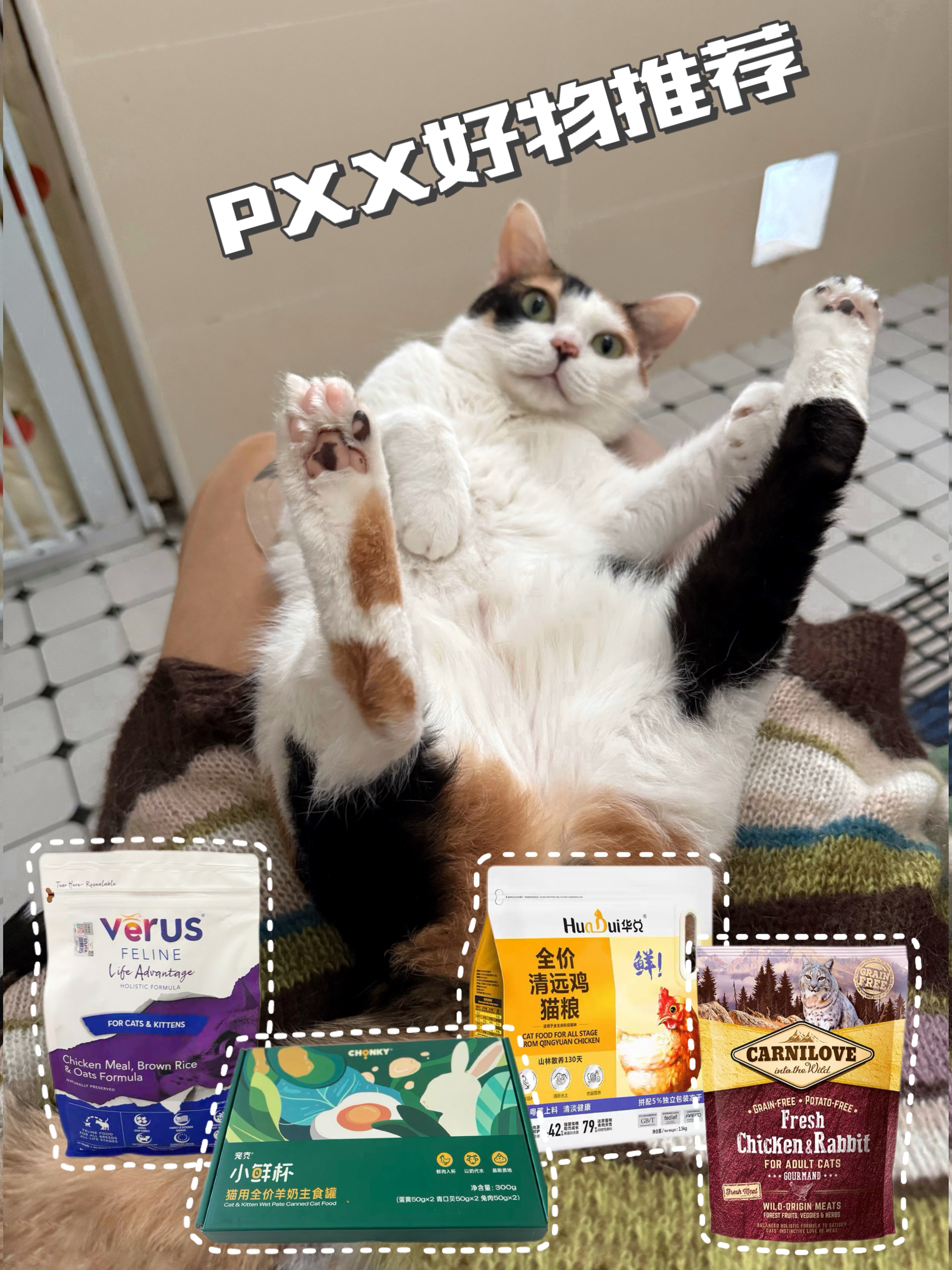 🛒 𝑉𝑙𝑜𝑔｜多猫家庭的PDD购物清单