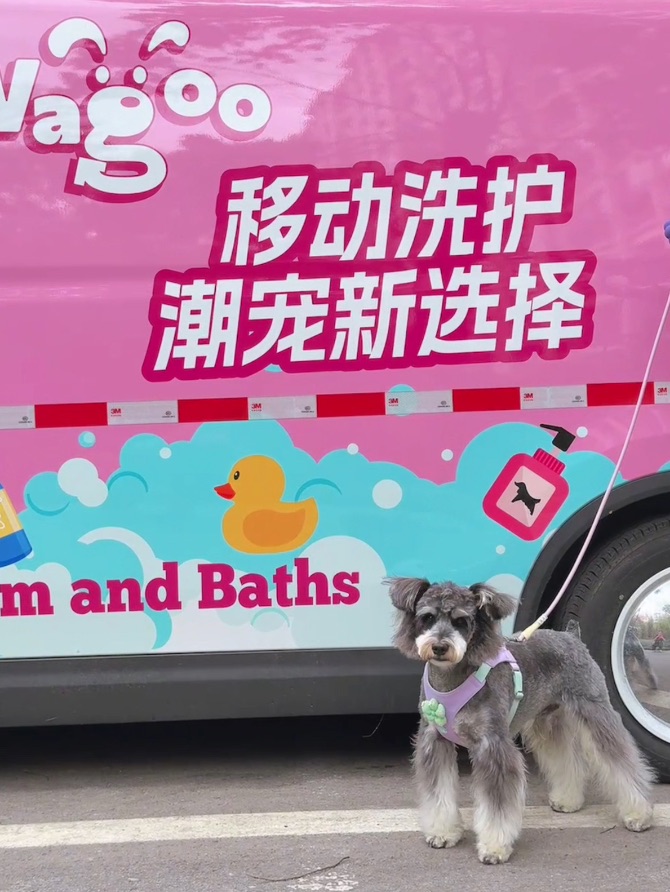 在小区里洗狗被邻居围观了👀