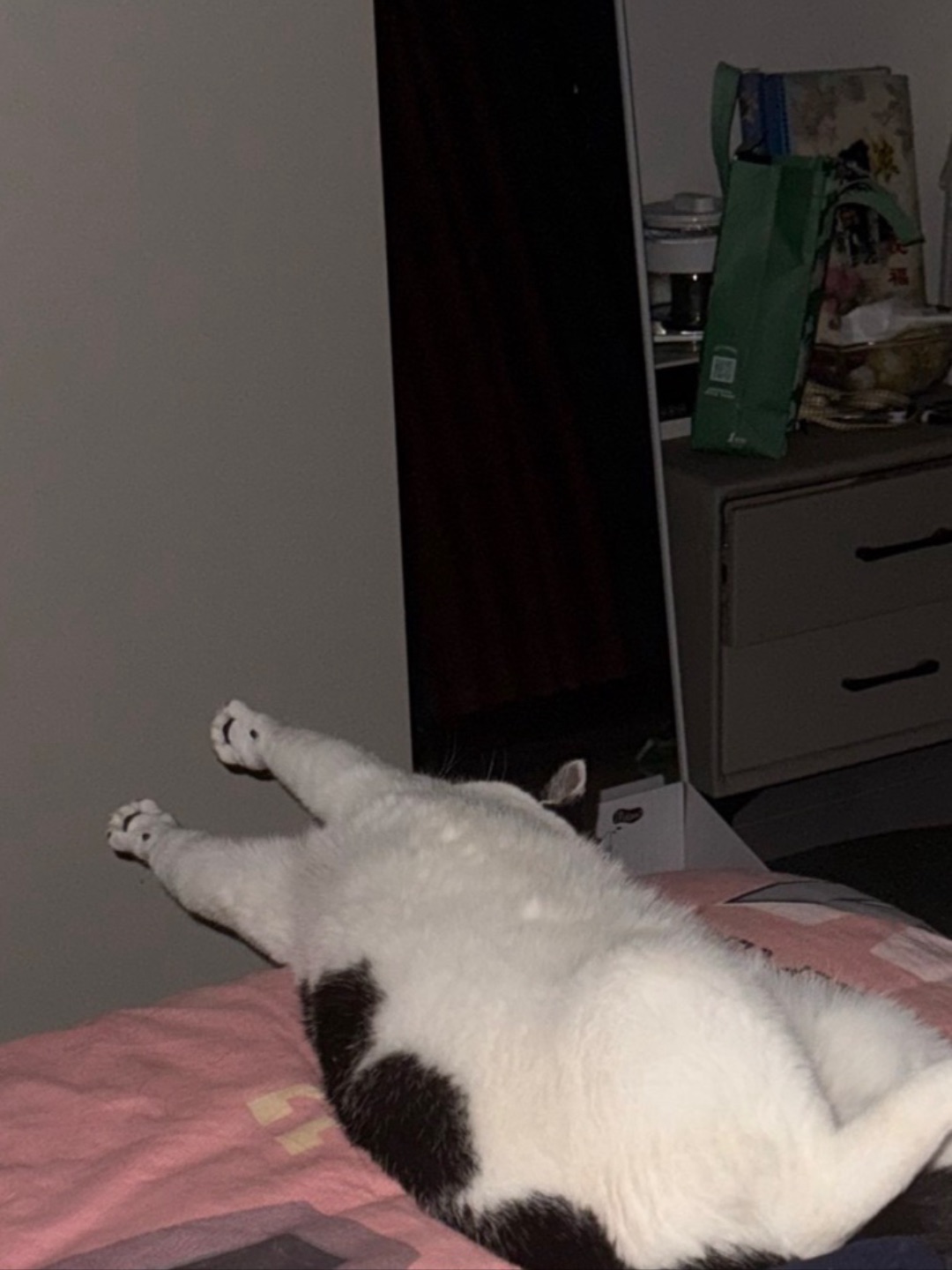 哪个猫咪这样睡觉的