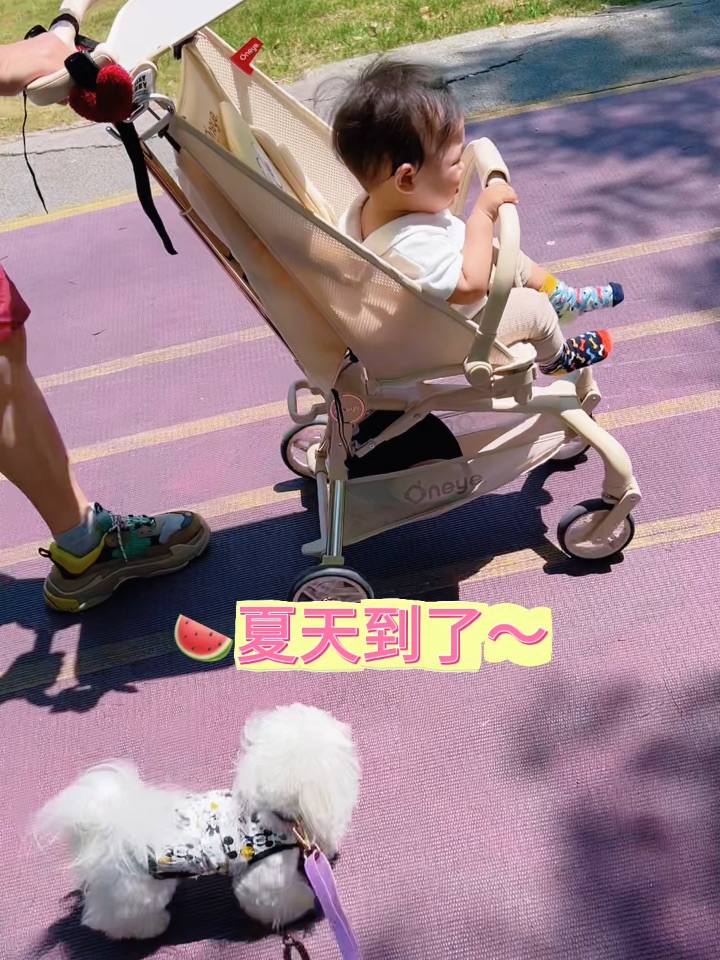 小狗露营不踩雷的终极防护指南✅