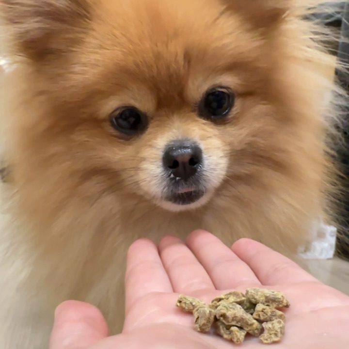 小抖看狗粮的眼神真是一往情深～