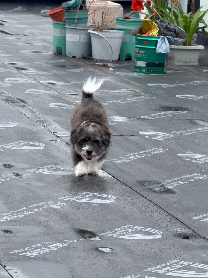 大战一触即发