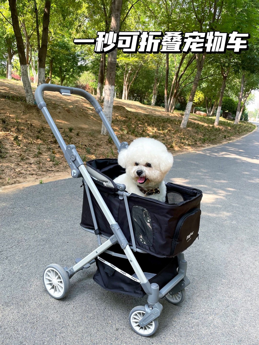 解放双手！Playful宠物车让遛狗变成享受