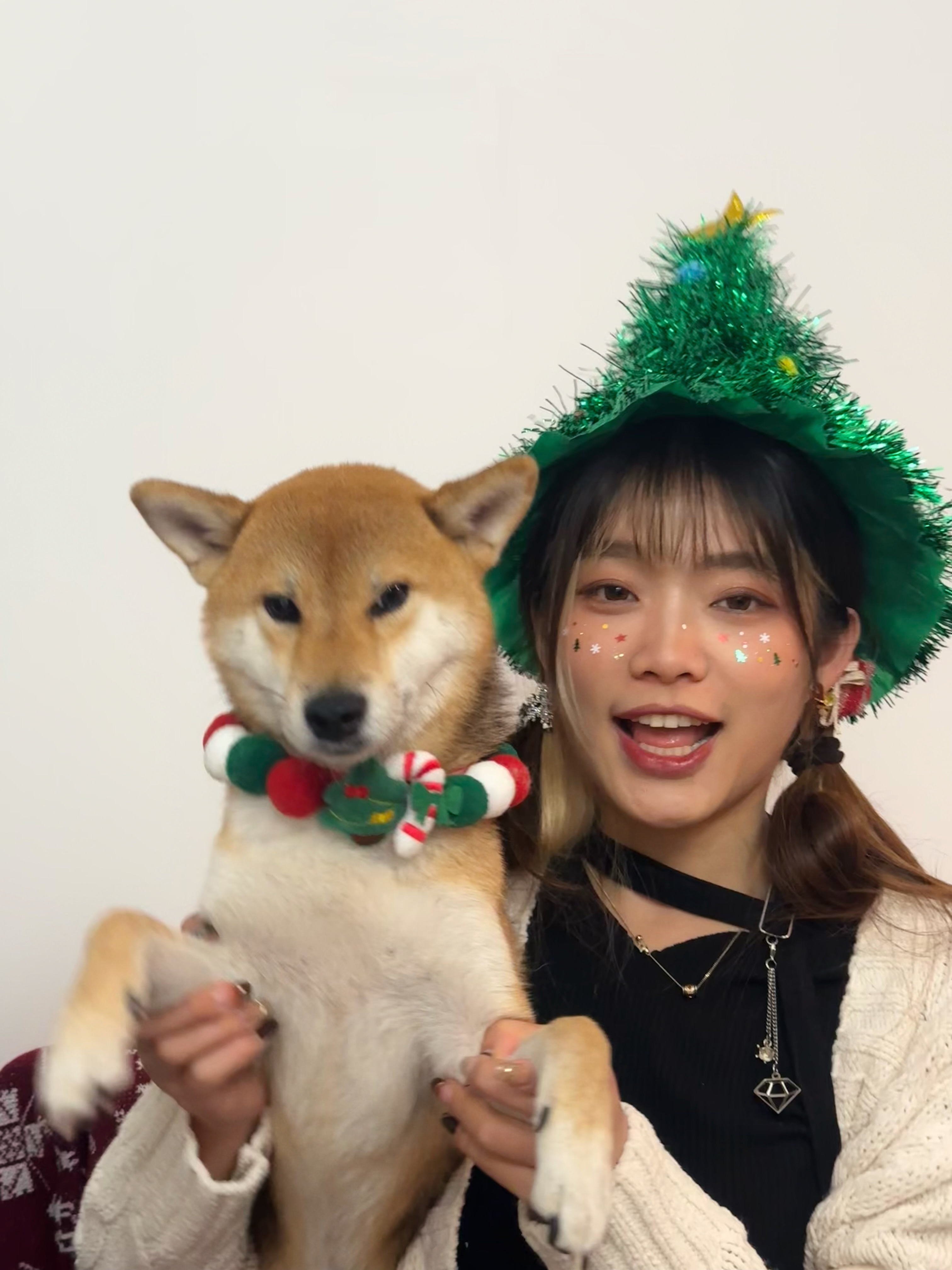 你有你的520 我有我的502🐶