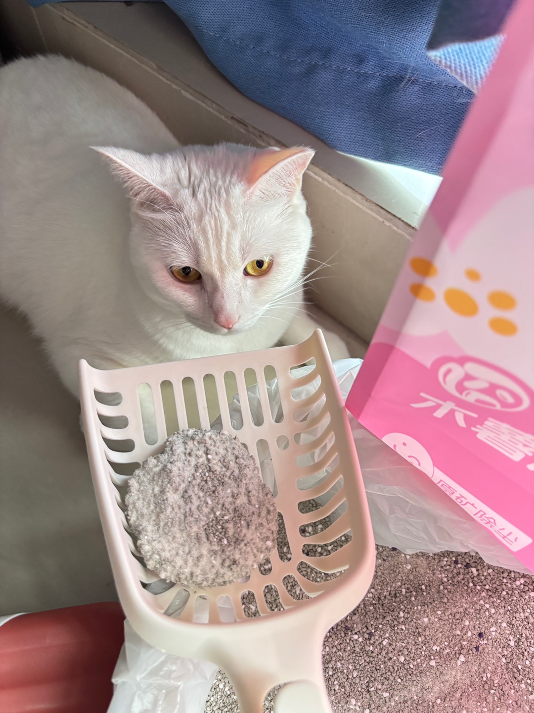 西五街