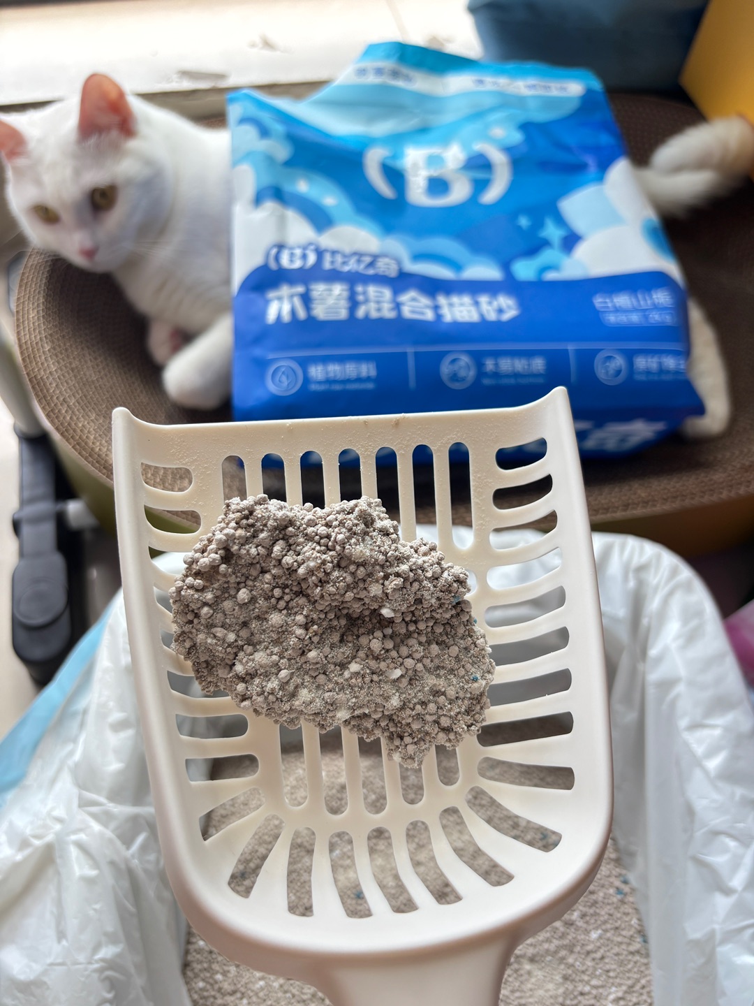 西五街