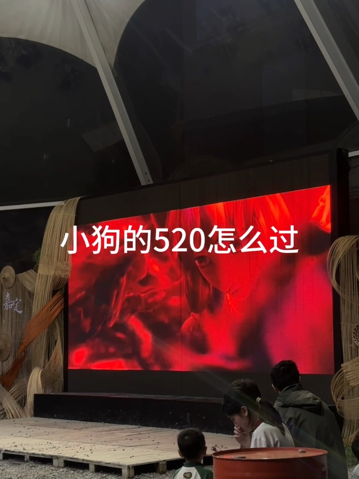 和小狗的520纪念日