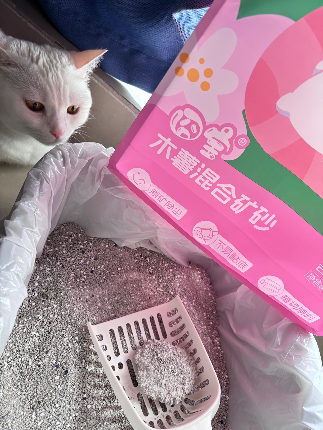 西五街