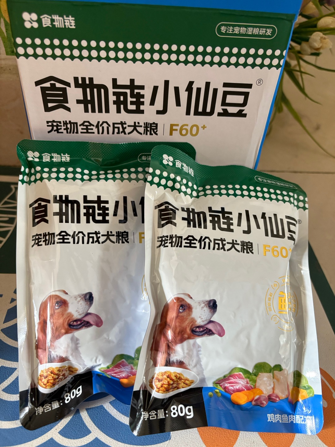 0诱食剂也能让我主子疯狂的小仙豆