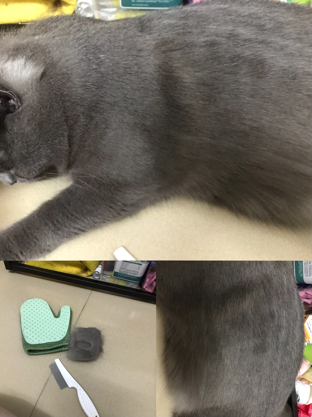 手搓猫毛球