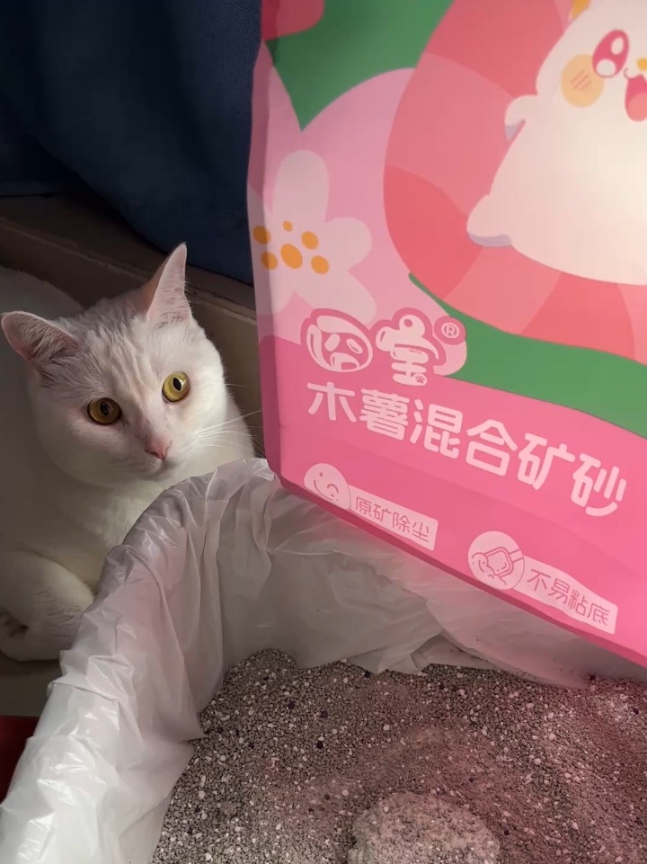 5.22猫砂