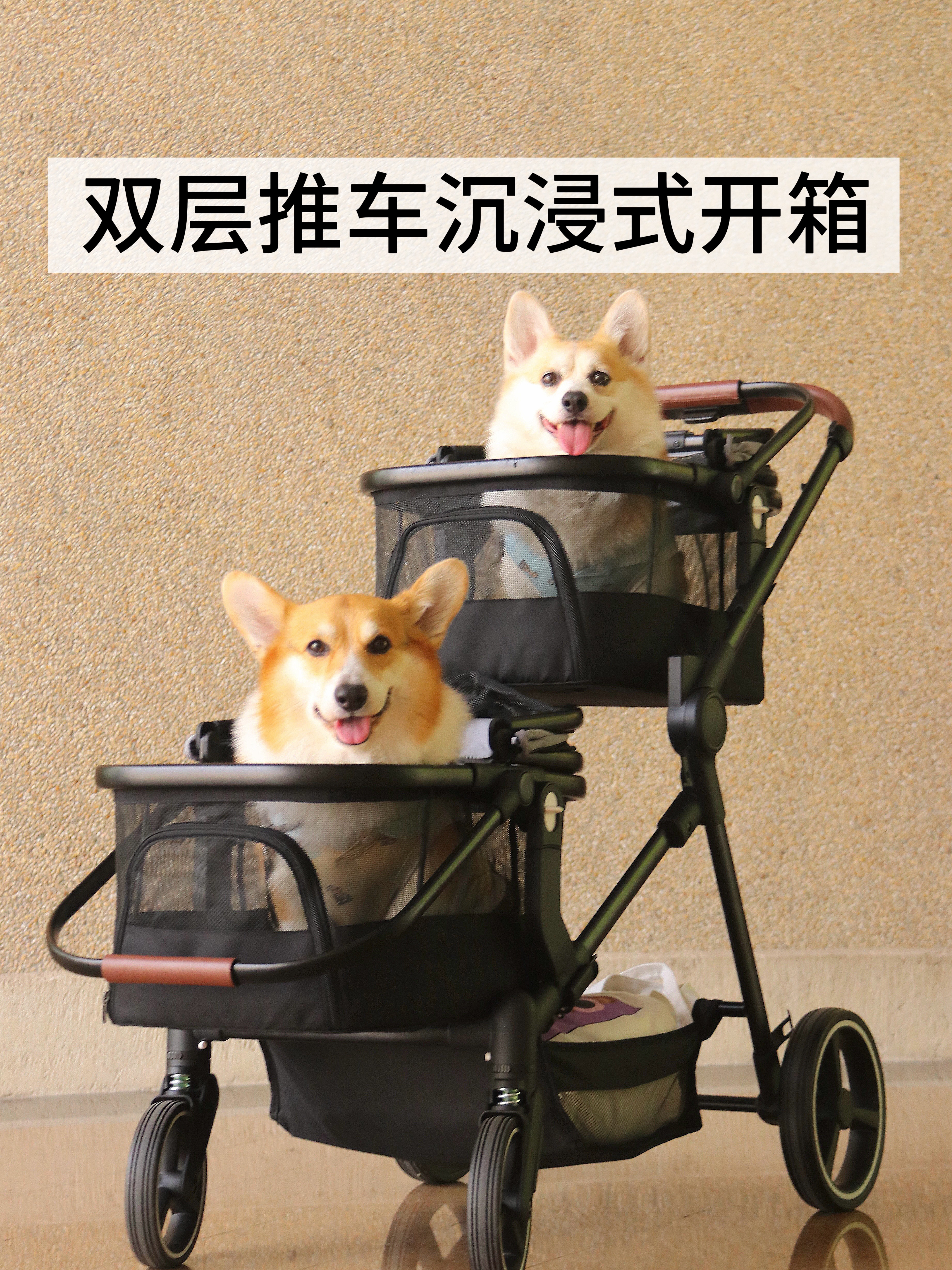 双层宠物推车沉浸式开箱