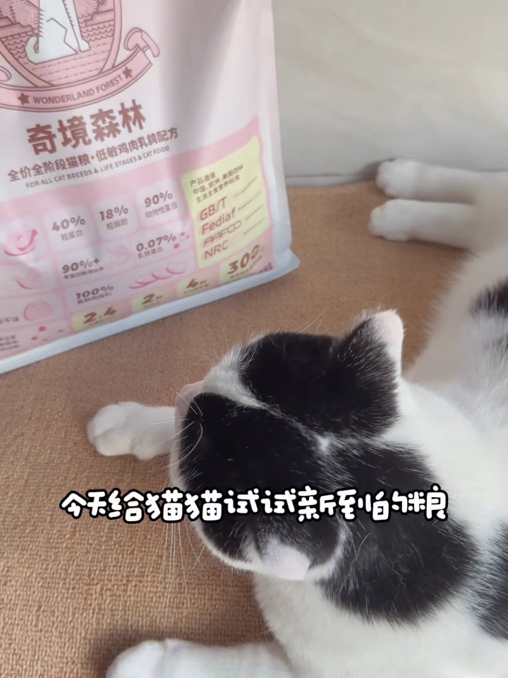 芝麻试吃｜奇境森林猫粮