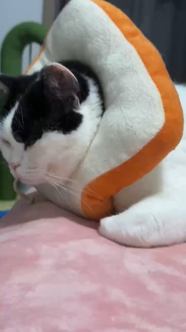 西五街