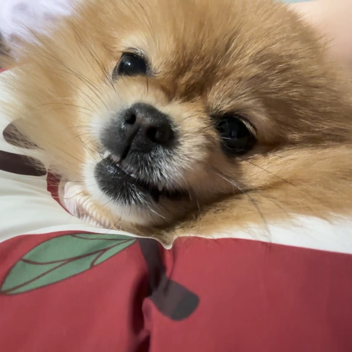气到发出了开水烧开的声音