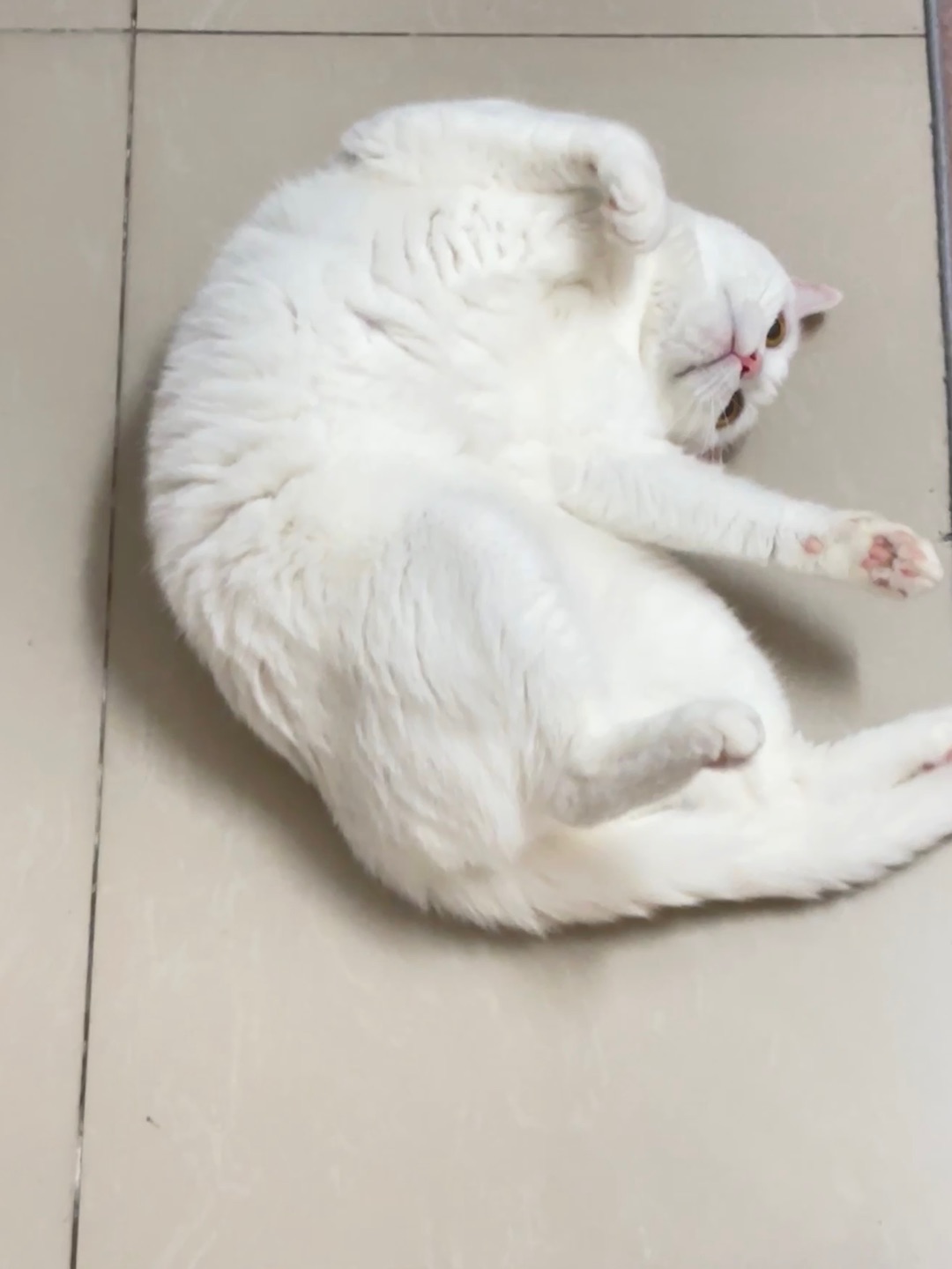 西五街