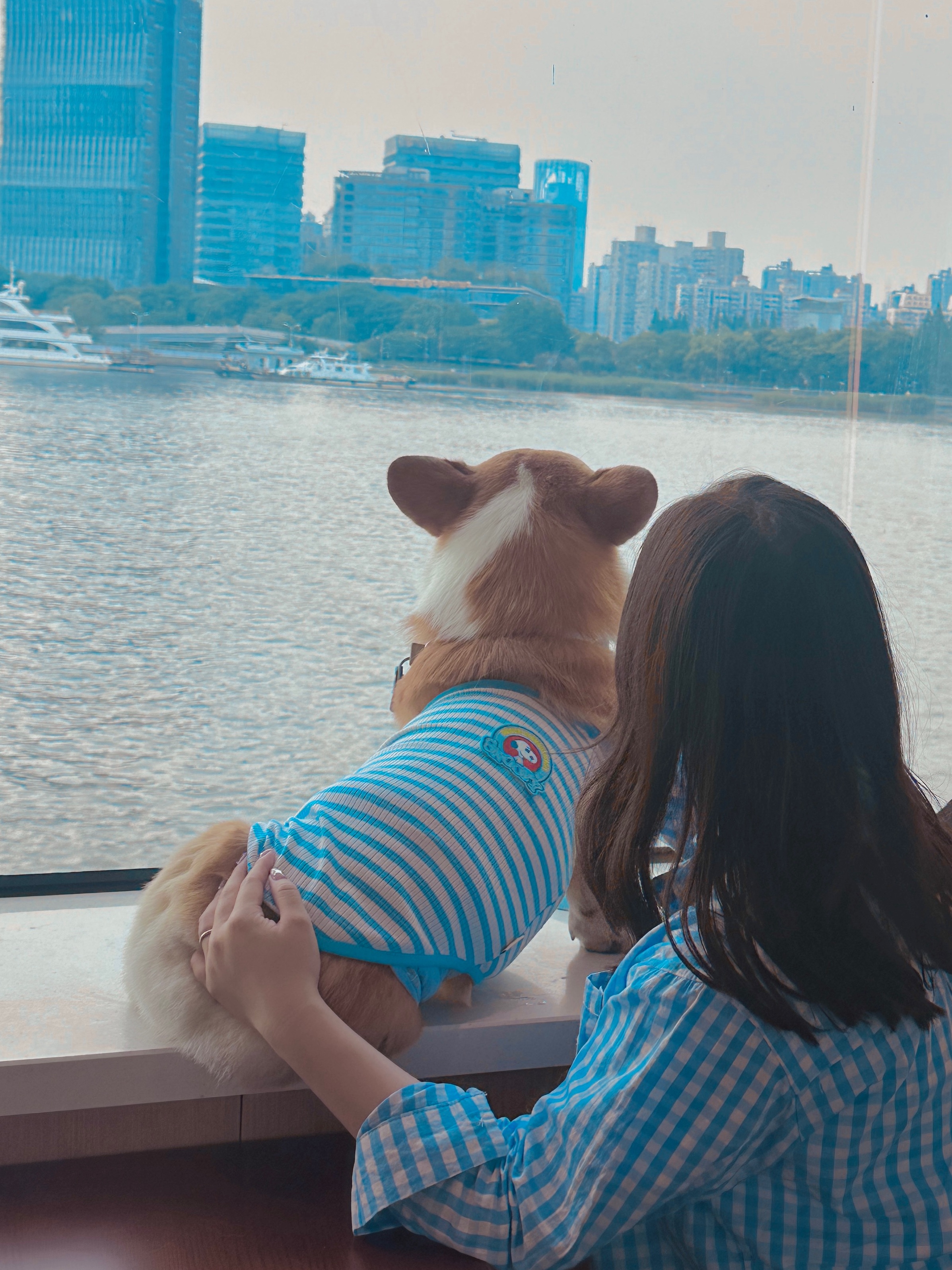 🩵Buff的「小狗书」上又加上了一页⛴️