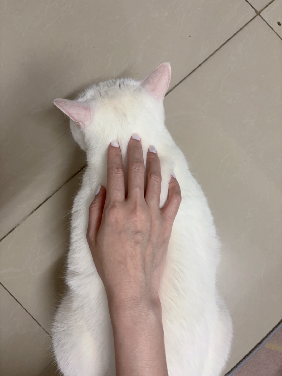 西五街