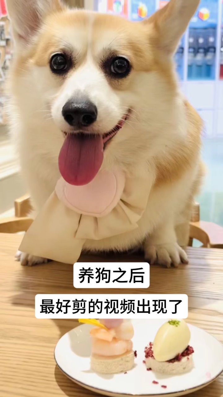 素材一大堆，主打没素质