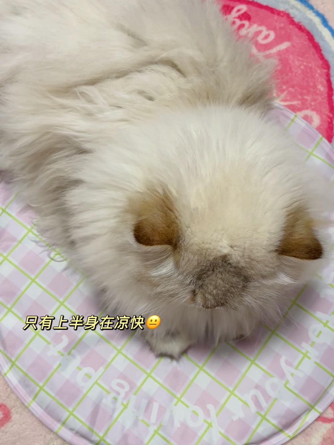 西五街