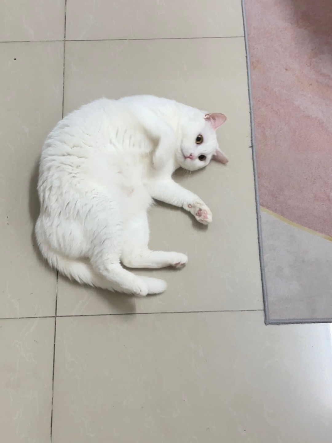 6.8