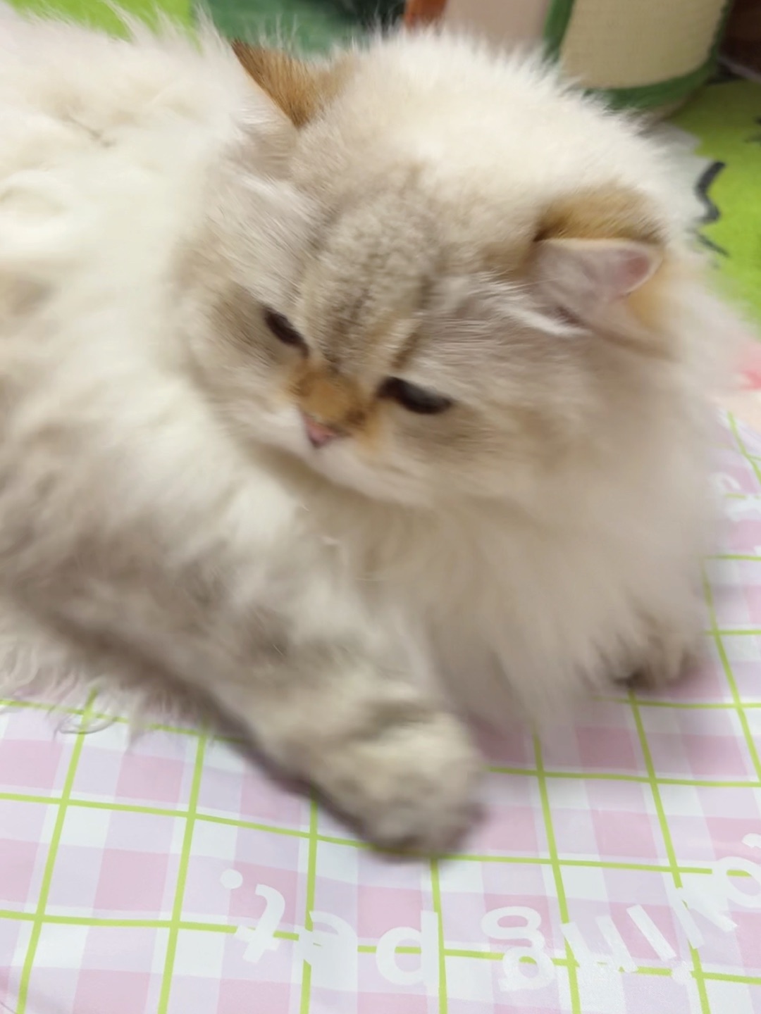 西五街