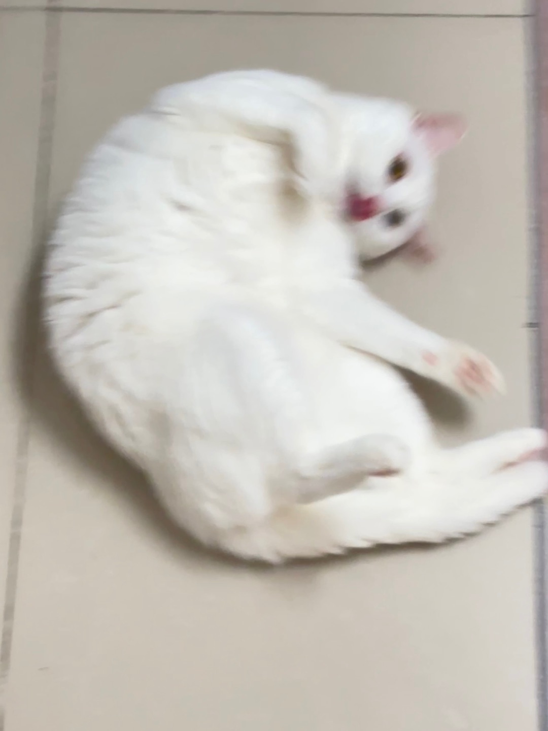 西五街
