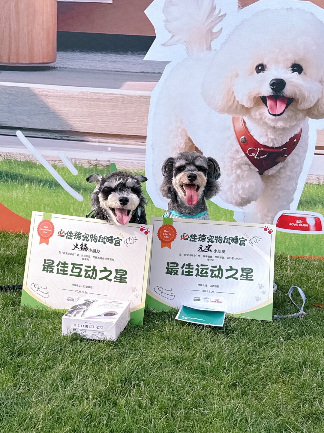 西五街