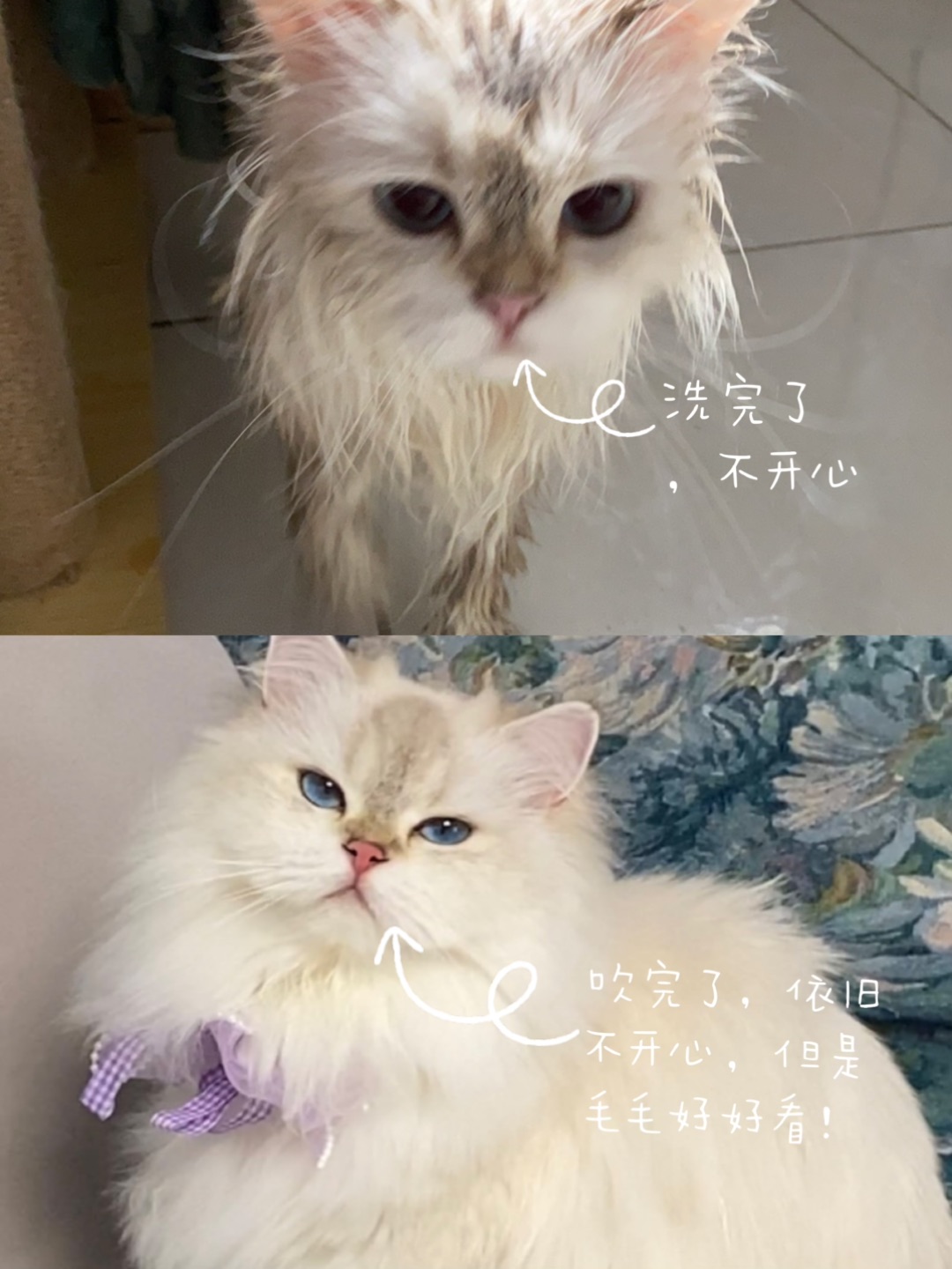 西五街