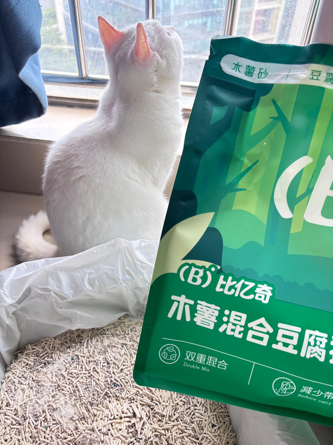 西五街