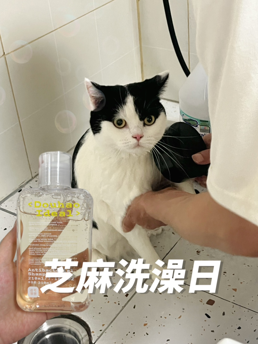 西五街