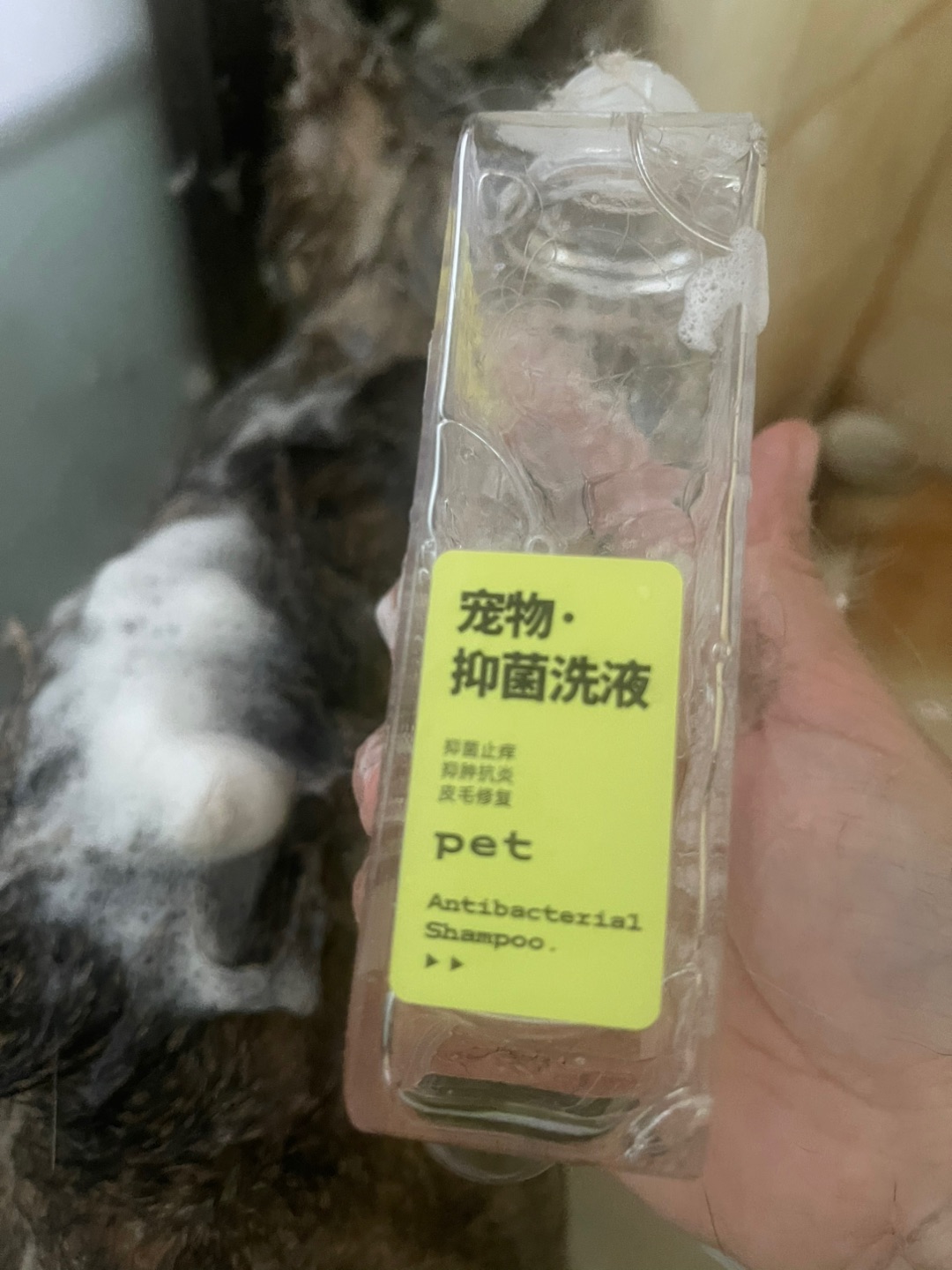 西五街