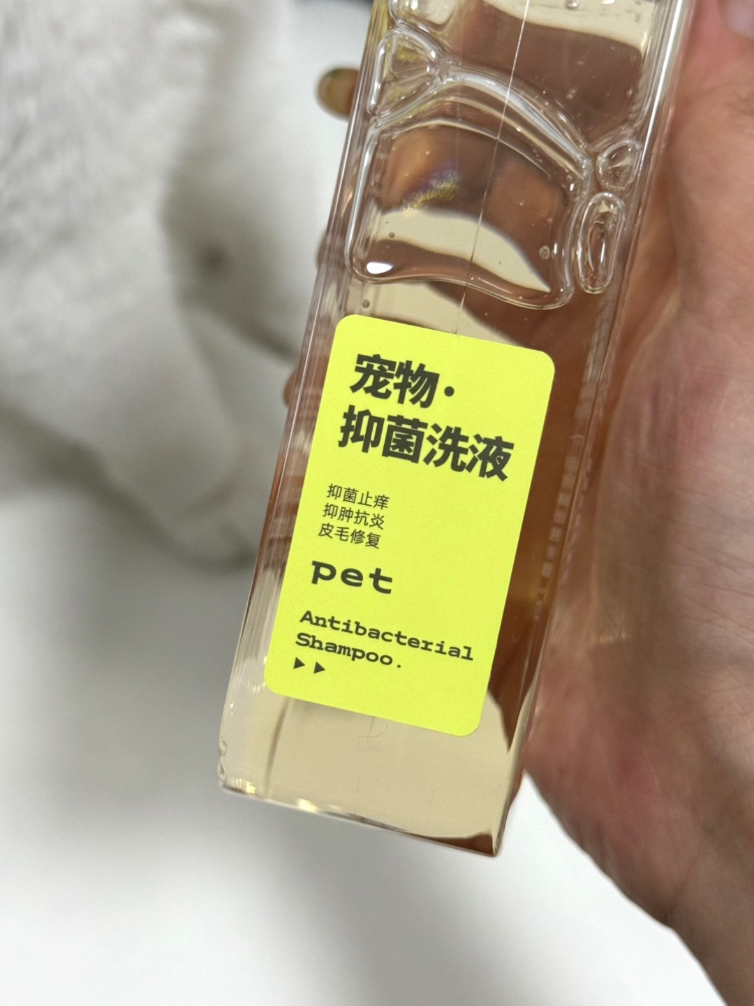 西五街