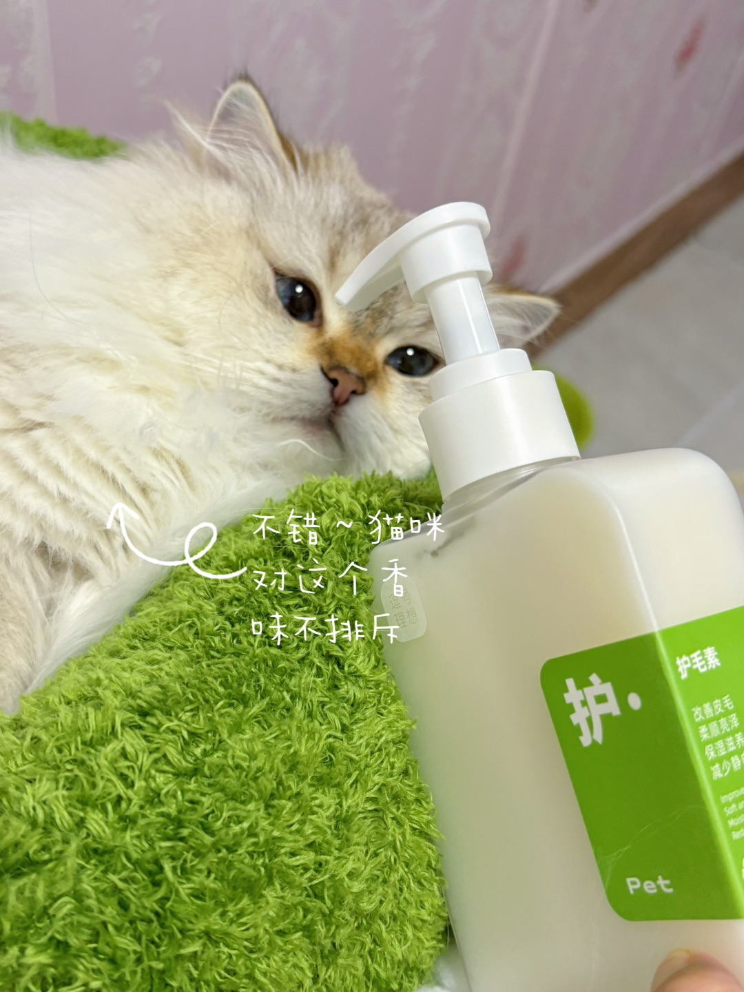 西五街