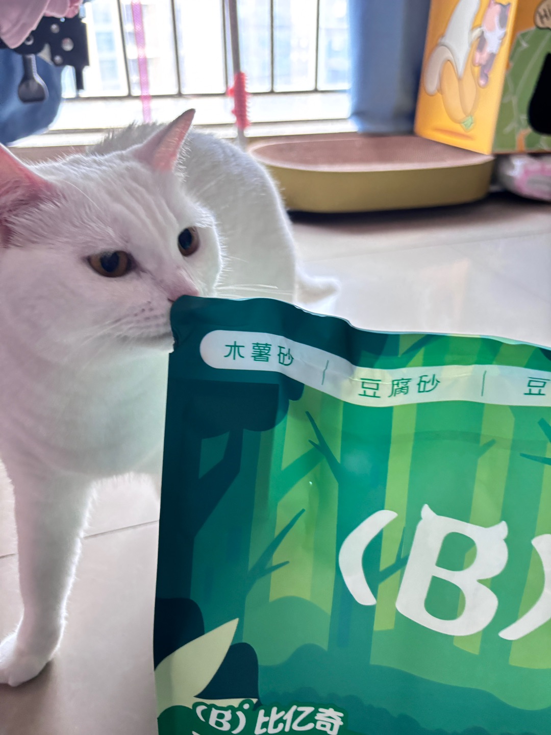 西五街