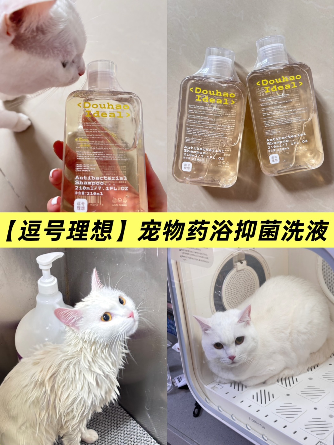 西五街