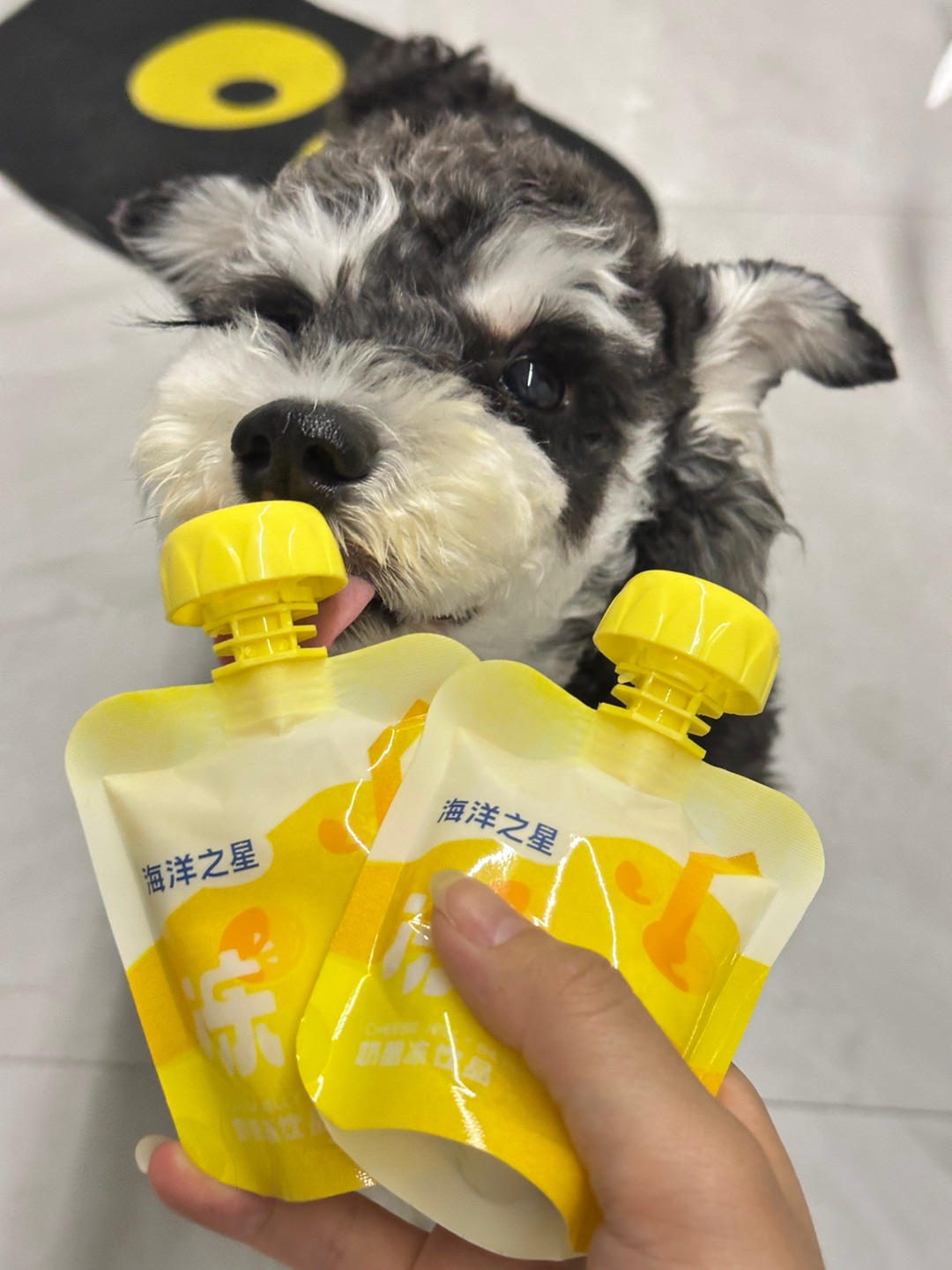 西五街