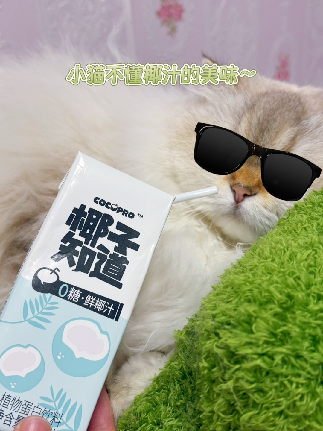 西五街
