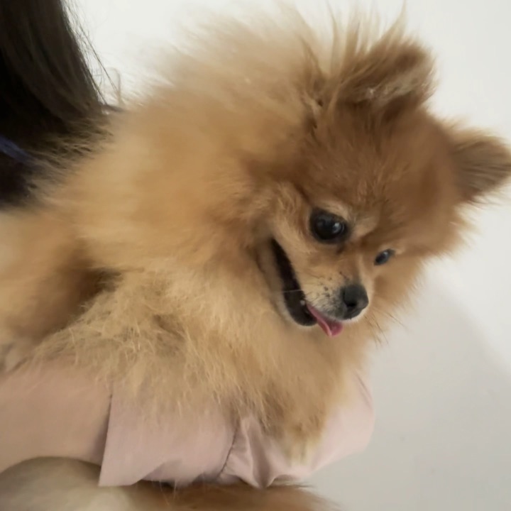 当我带小抖出门