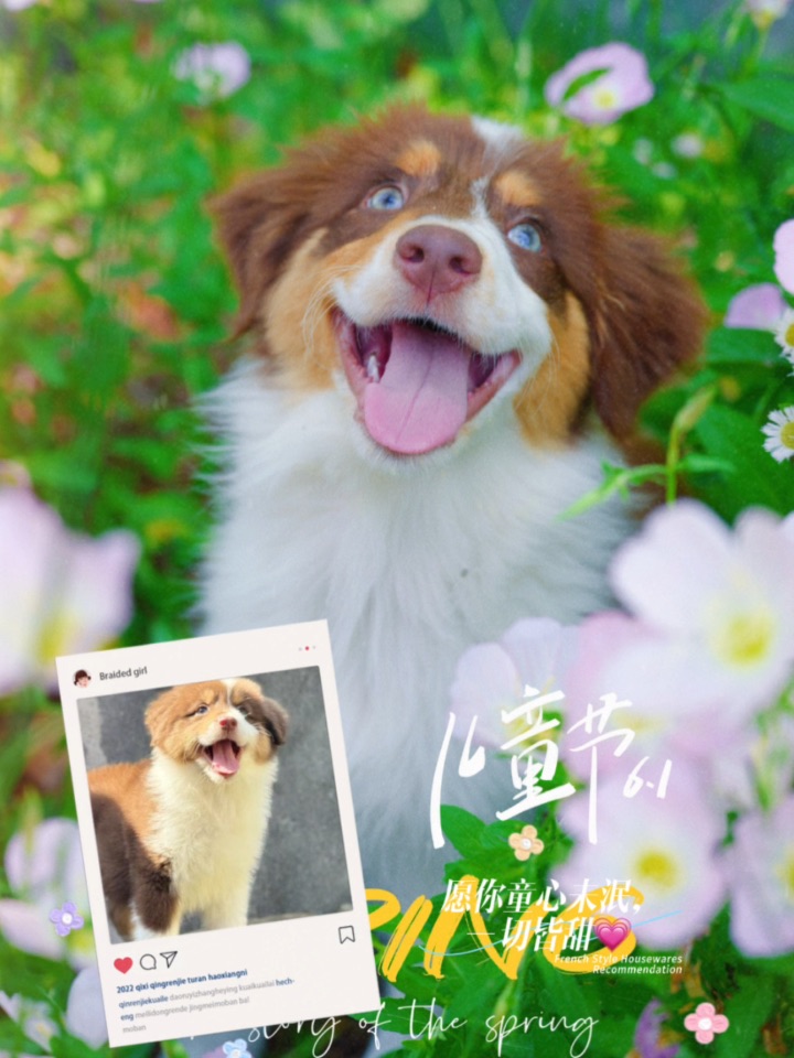 🐕时光啊，请慢些走