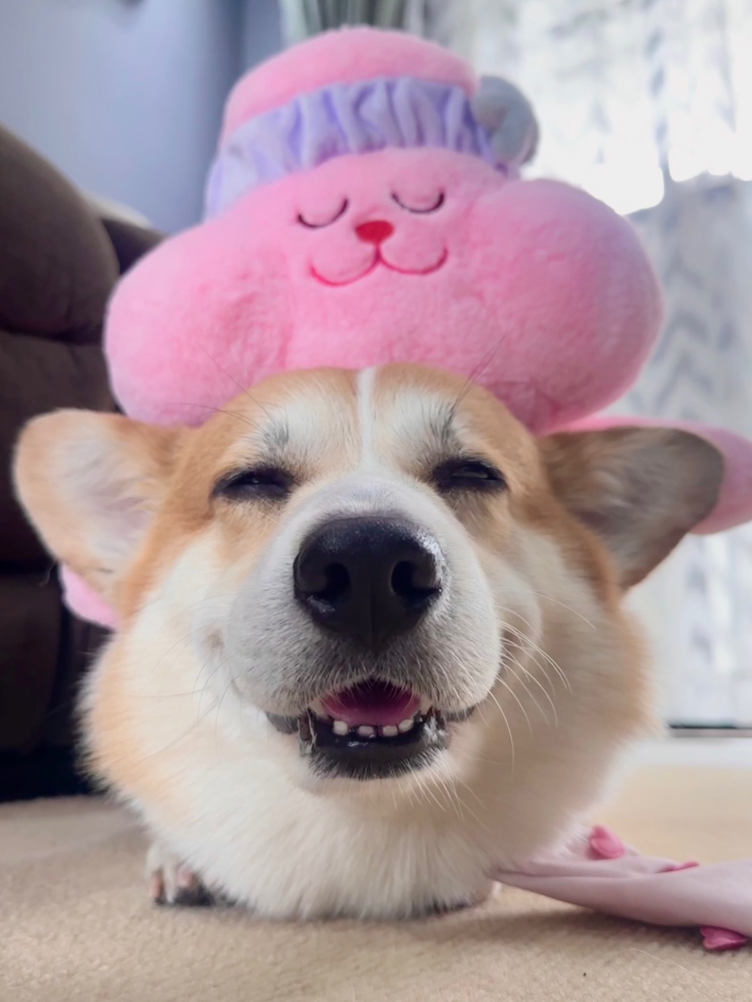 宝不信！宝的头一点都不大🤨
