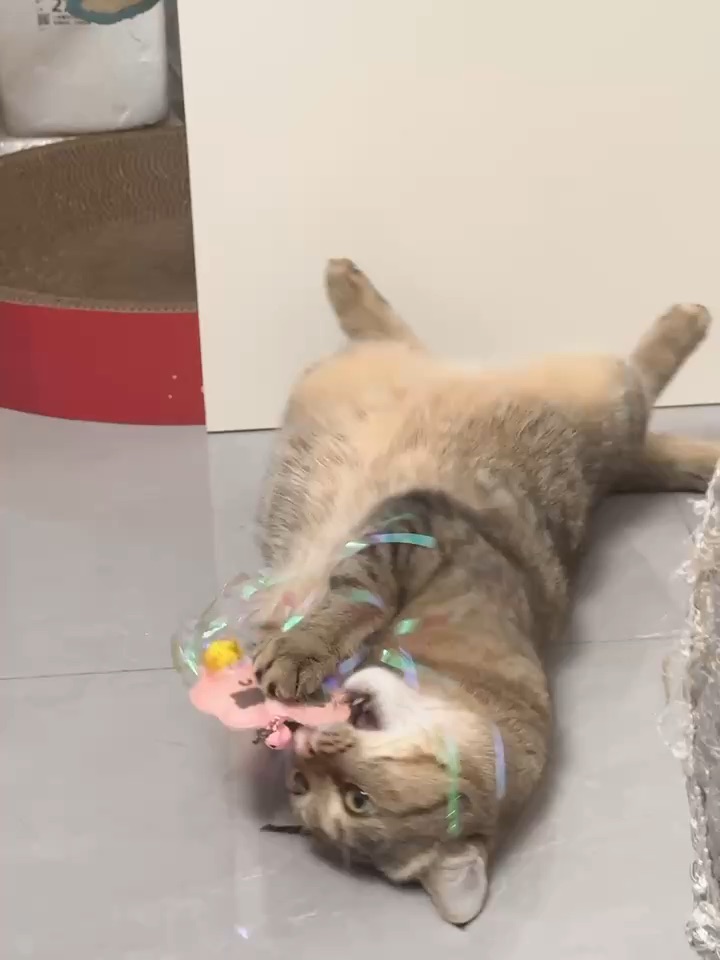 可爱的宝宝