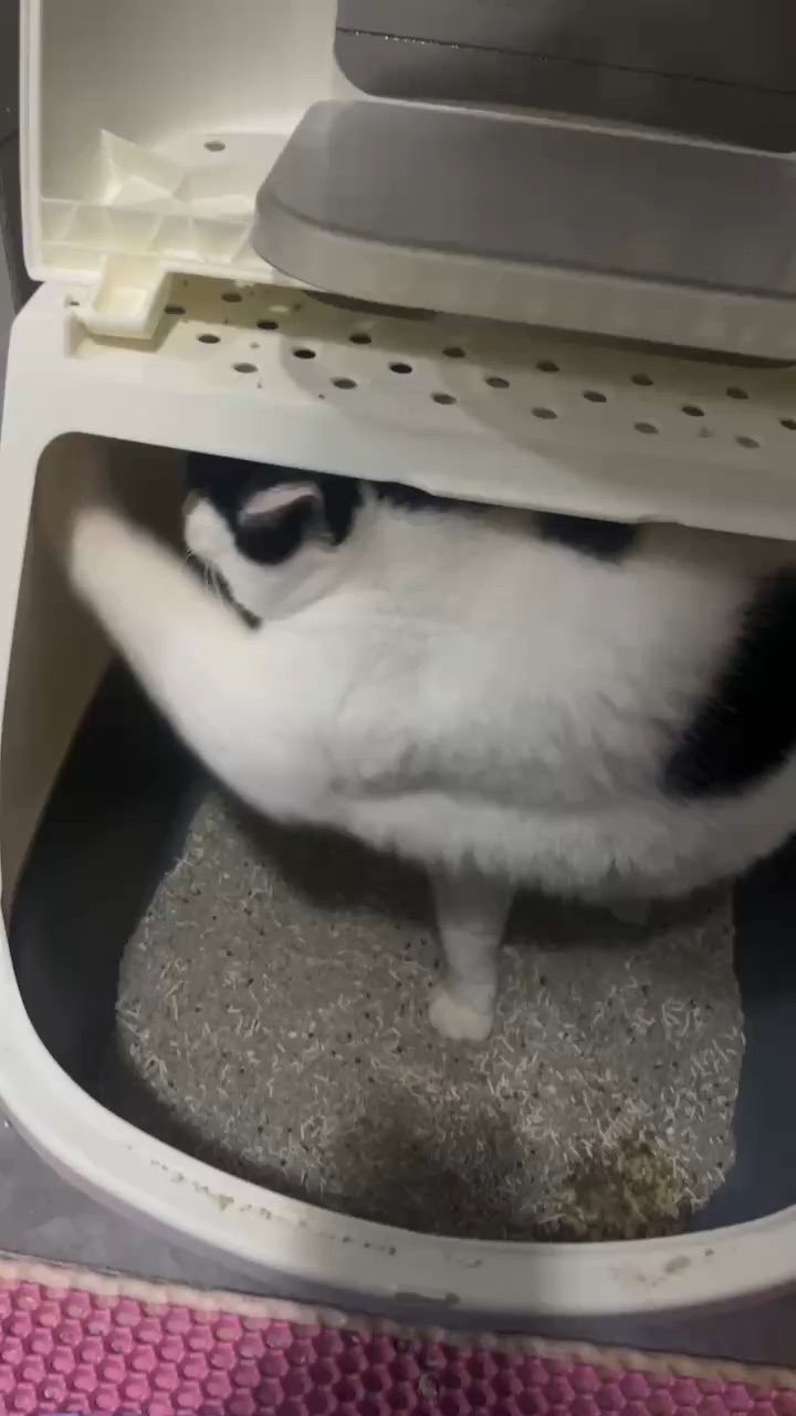 隔空埋沙 这是高手
