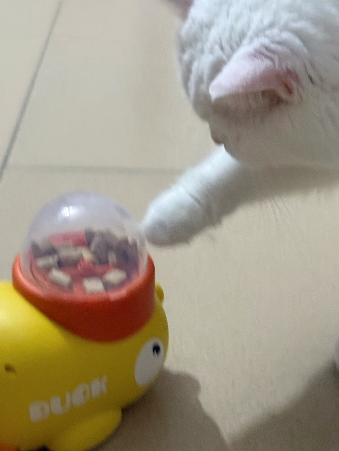 西五街