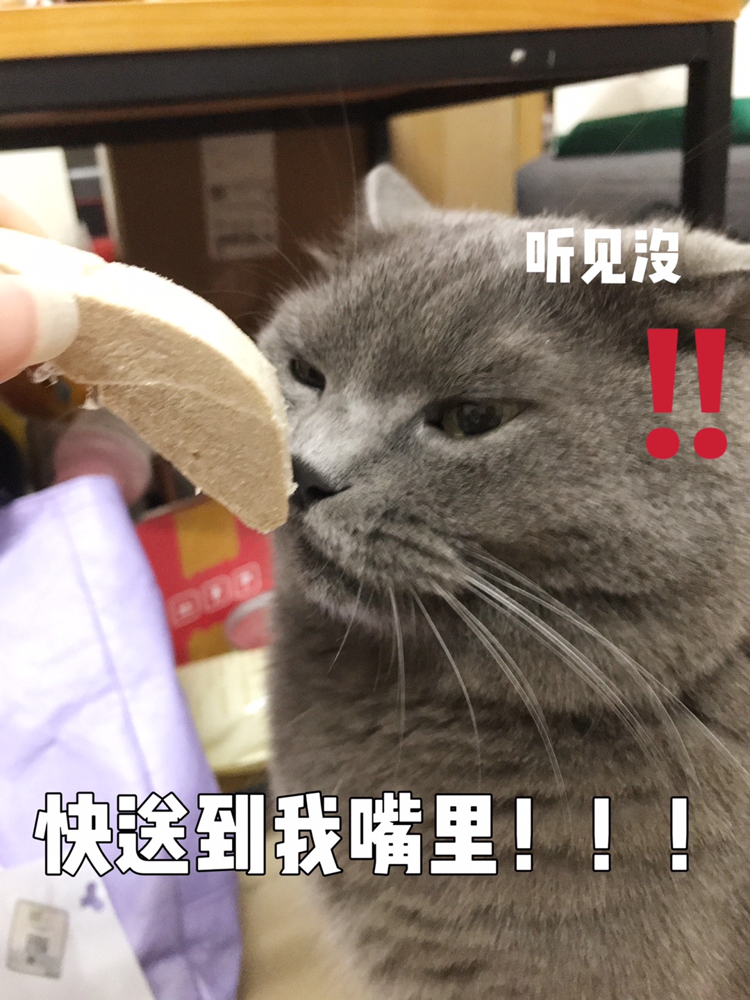 西五街